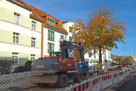 Mitten im Baustellentrubel trotzt die alte Kastanie an der Rostocker Straße den Baggern – ein grünes Wahrzeichen, das bleiben darf.