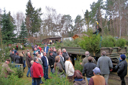 Der traditionelle Weihnachtsbaumverkauf in der Rostocker Heide findet an der Alten Forstbaumschule in Hinrichshagen statt.