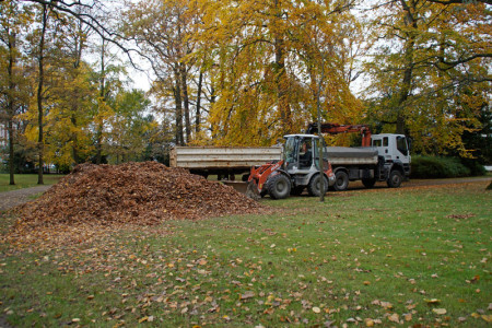 Ungeachtet des schweren Geräts zur Laubbeseitigung im Kurpark rieseln die Blätter weiter.