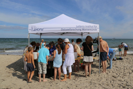Auf Forschungsreise direkt vor der Haust&uuml;r: IOW-Wissenschaftlerinnen und -Wissenschaftler geben spannende Einblicke in die verborgene Tier- und Pflanzenwelt der Ostsee.//Foto: IOW/ K. Beck