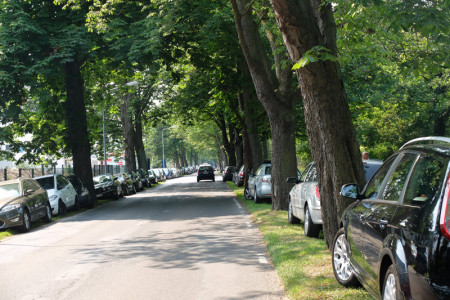 Die Parksituation des zurückliegenden Sommers haben wir noch alle vor Augen. Doch wo sollen die Gäste hin? Über neue Parkhaus-Standorte an den Ortseingängen sagt das Parkraumkonzept bisher nichts aus.