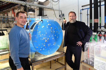 Zoodirektor Udo Nagel (r.) und der Bereichsleiter Tierpflege, Thomas Holst, gaben heute Einblicke in den Backstagesektor der Quallenzucht, hier mit etwa zwei Monate alten Gepunkteten Wurzelmundquallen.