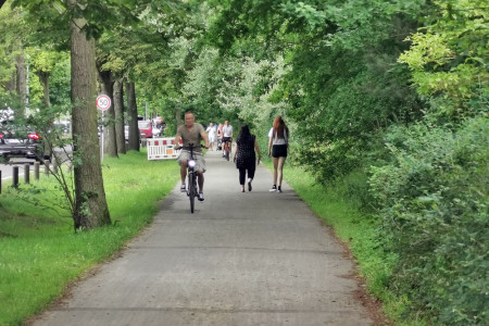 Der Radentscheid Rostock begrüßt die Verbreiterung des Radwegs entlang der Warnemünder Parkstraße. Jeder Mensch, der auf dieser Route vom Auto aufs Fahrrad umsteigt, sei ein großer Gewinn für den Klimaschutz, für den in der Abwägung auch das Fällen von Bäumen angemessen sei.