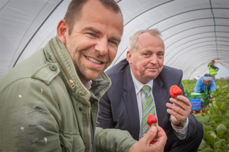 Der Kälte zum Trotz: Gemeinsam mit Landwirtschaftsminister Dr. Till Backhaus (r.) eröffnete Karls-Inhaber Robert Dahl heute die Erdbeersaison 2017.