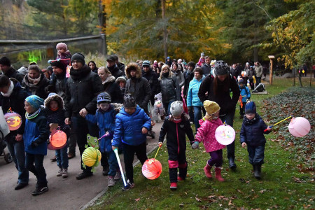 Laternen, Lichter und leuchtende Augen: Der Lampionumzug im Zoo Rostock verzaubert Groß und Klein.//Foto: Zoo Rostock/Kloock