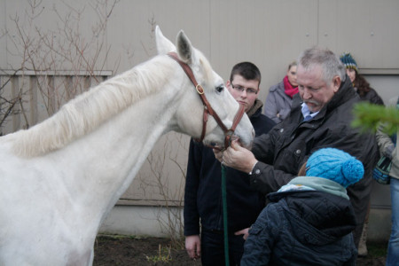 Pferdeflüsterer Tamme Hanken bei einer seiner Diagnosen auf dem Reiterhof Blohm.