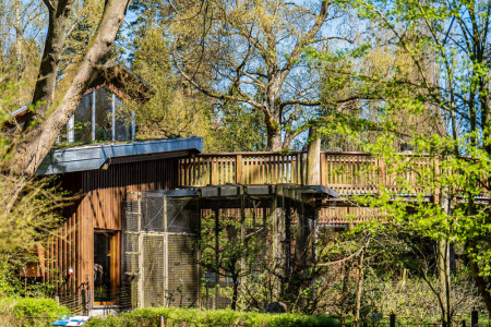 Braucht dringend eine Frischekur &ndash; das S&uuml;damerika-Haus, in dem unter anderem die Kapuzineraffen und G&uuml;rteltiere leben.//Foto: Zoo Rostock/ Matthias Dr&uuml;bbisch