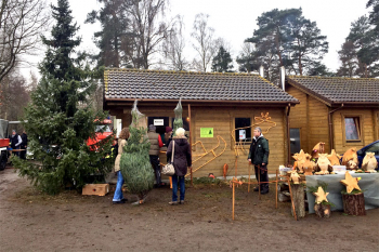 Am Nikolaustag beginnt in der Rostocker Heide der traditionelle Weihnachtsbaumverkauf.