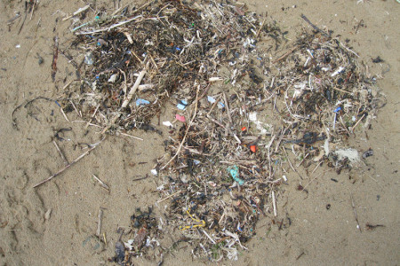 Allgegenwärtig nicht nur an unseren Stränden - Mikroplastik verschmutzt die Umwelt. Ob und wie gefährlich das ist, beleuchtet der kommende "Warnemünder Abend" am IOW.