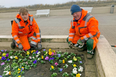 Der Frühling ist da und die Stadtgärtner bringen Farbe ins Spiel: Andreas Groß (l.) und Uwe Mandel bei der Frühjahrsbepflanzung auf der Seepromenade in Warnemünde.