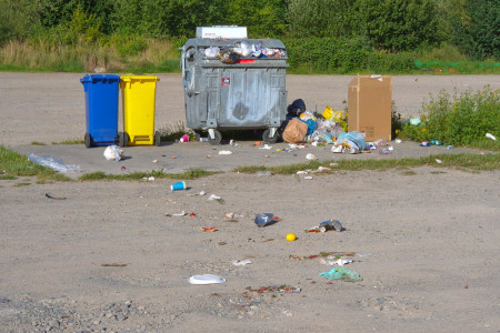 Die Mülltonne auf dem Parkplatz Strand West in Warnemünde ist ständig überfüllt und liefert Angriffsflächen für Möwen und Krähen. 