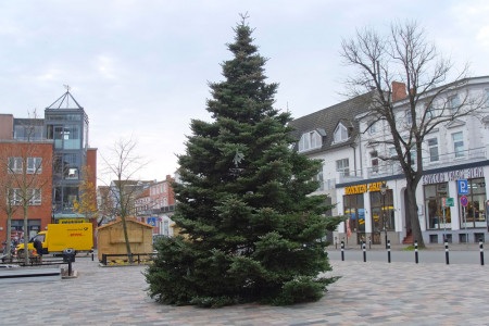 Und wieder kann Warnemünde einen wunderhübschen Weihnachtsbaum vorweisen. Heute Vormittag wurde er aufgestellt. Und wieder kann Warnemünde einen wunderhübschen Weihnachtsbaum vorweisen. Heute Vormittag wurde er aufgestellt.