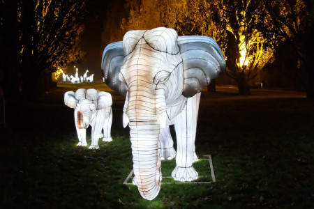 Beim abendlichen Spaziergang durch den Rostocker Zoo kommt man aus dem Staunen gar nicht mehr raus. Mehr als leuchtende 250 Tiere tauchen den Park in eine magische Lichterwelt.