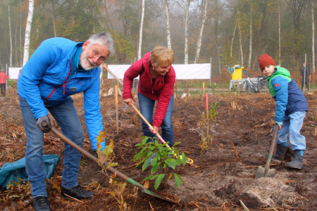 Holger und Margitta Radloff sind geborene Warnemünder und nahmen mit ihrem siebenjährigen Enkel Paul zum ersten Mal an der Pflanzaktion „Bürger für Bäume“ teil. Die Familie setzte auch eine selbstgezogene Esskastanie ein. Holger und Margitta Radloff sind geborene Warnemünder und nahmen mit ihrem siebenjährigen Enkel Paul zum ersten Mal an der Pflanzaktion „Bürger für Bäume“ teil. Die Familie setzte auch eine selbstgezogene Esskastanie ein.