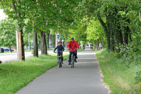 An der Fahrradzählstelle Warnemünder Parkstraße konnte ein Plus von 26 Prozent registriert werden. 