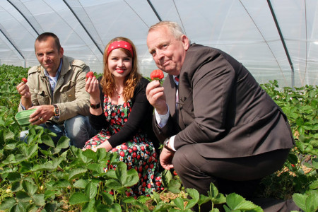 Freuen sich auf eine gute Erdbeersaison mit maximalen Erträgen: Robert Dahl, Josefine Krabbe und Till Backhaus (v.l.).