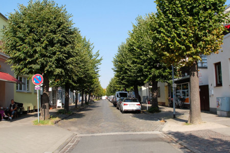Der Streit um die Bestandsbäume in der Friedrich-Franz-Straße (Foto) und in der Mühlenstraße verhindert weitere Investitionen.