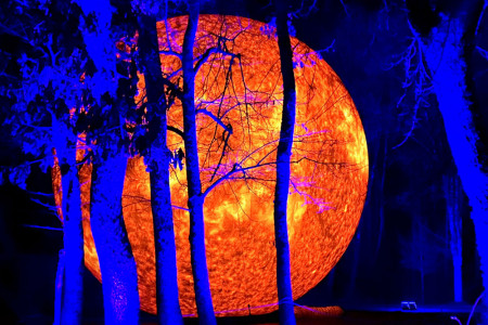 Rund 20.000 G&auml;ste lie&szlig;en sich bereits bei der Premiere vom ZooLichtZauber verzaubern &ndash; auch in diesem Winter soll das Lichtermeer den Zoo Rostock erneut zum Strahlen bringen und die langen Abende hell erleuchten.//Foto: World of Lights