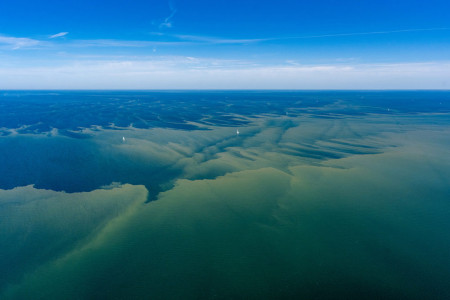 Die massenhafte Vermehrung von Blaualgen ist an der gr&uuml;nlichen bis blau-gr&uuml;nen Tr&uuml;bung des Ostseewassers deutlich zu erkennen.//Foto: Holger Martens