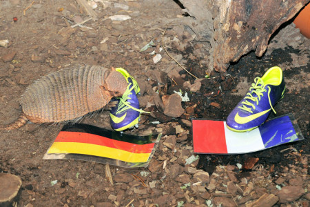 Maray hatte nur Augen für den deutschen Schuh. Als Duisburger glaubt er an Deutschland. Maray hatte nur Augen für den deutschen Schuh. Als Duisburger glaubt er an Deutschland.