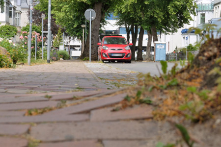 Verwerfungen auf den Gehwegen in der Schillerstraße von Warnemünde sind für Anwohner und Gäste eine gefährliche Unfallquelle. Jetzt werden Baumgutachten angefertigt und diese bilden die Grundlage für eine Erneuerung der Steige.