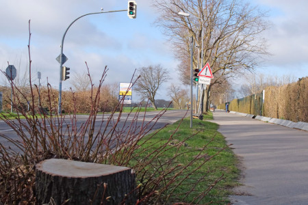 Am Knoten Parkstraße / Groß-Kleiner-Weg soll die Ampelanlage erneuert werden. In dem Zuge wird auch die Querung mobilitätsgerecht ausgebaut.
