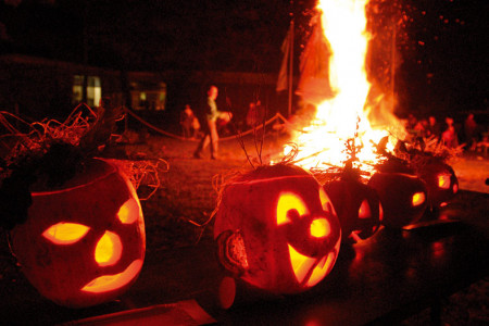 Am 1. November startet im Rostocker Zoo das Lampionfest. Am 1. November startet im Rostocker Zoo das Lampionfest.