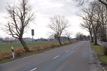 Gerade auf der Südseite ist die Lindenallee zwischen Warnemünde und Dierdrichhagen stark in Mitleidenschaft gezogen. Das Grünamt plant jetzt Nachpflanzungen.