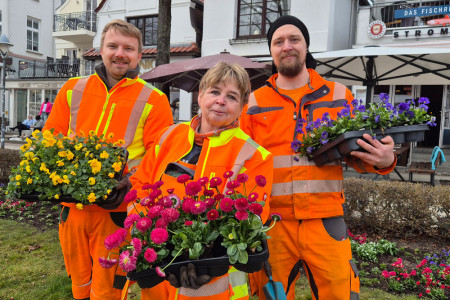 Philipp Lerch, Angelika Freier und Markus Rux (v.l.) vom Stadtgrünamt bereiten mit bunt bestückten Pflanzpaletten die Beete am Alten Strom für die neue Saison vor. Philipp Lerch, Angelika Freier und Markus Rux (v.l.) vom Stadtgrünamt bereiten mit bunt bestückten Pflanzpaletten die Beete am Alten Strom für die neue Saison vor.
