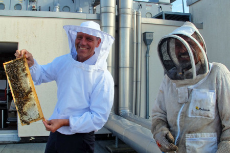 Die Freude bei Hoteldirektor Dietmar Karl (l.) ist groß: Seine Bienenvölker entwickeln sich prächtig und der erste Honig ist auch schon da.