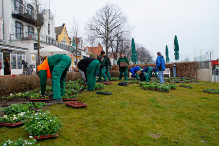 Die Gärtnerinnen und Gärtner des Amtes für Stadtgrün bringen den Frühling an den Alten Strom. Die Gärtnerinnen und Gärtner des Amtes für Stadtgrün bringen den Frühling an den Alten Strom.