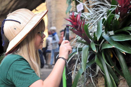 Kleine Nachtdetektive auf Abenteuerreise im Darwineum immer samstags ab 16.30 Uhr.