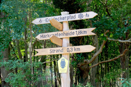 Das Stadtforstamt Rostock bietet auch in diesem Jahr in der Saison wieder monatlich eine geführte Wanderung mit den Förstern zu verschiedenen Themen und in unterschiedlichen Revieren der Rostocker Heide an. Das Stadtforstamt Rostock bietet auch in diesem Jahr in der Saison wieder monatlich eine geführte Wanderung mit den Förstern zu verschiedenen Themen und in unterschiedlichen Revieren der Rostocker Heide an.