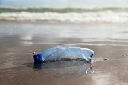 Der 21. September 2019 ist International Coastal Cleanup Day. Auch in Warnemünde wird dann der Strand geputzt. Außerdem laden verschiedene Umweltinitiativen in der Jugendherberge zu Mitmachaktionen ein.