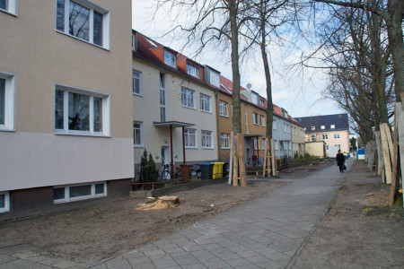 Zwei Linden sind vor dem Wohnhaus in der Dänischen Straße 24 stehen geblieben.