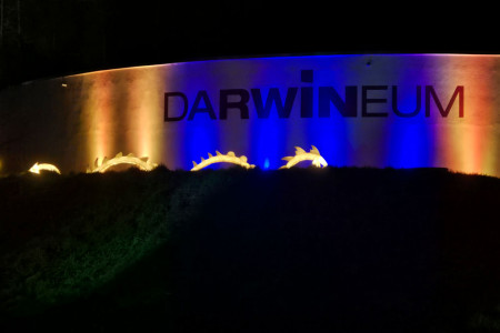 Ob leuchtende Zoo-Magie, tierische Begegnungen oder musikalische Höhepunkte – Geschenke aus dem Zoo Rostock sorgen für strahlende Augen und unvergessliche Momente. Ob leuchtende Zoo-Magie, tierische Begegnungen oder musikalische Höhepunkte – Geschenke aus dem Zoo Rostock sorgen für strahlende Augen und unvergessliche Momente.