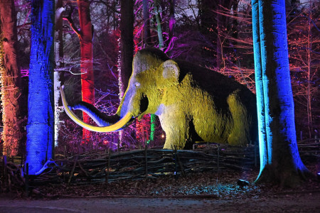 Die Vorbereitungen für das neue Lichtevent im Zoo Rostock laufen auf Hochtouren – hier erste Impressionen.//Fotos: Zoo Rostock/ Joachim Kloock Die Vorbereitungen für das neue Lichtevent im Zoo Rostock laufen auf Hochtouren – hier erste Impressionen.//Fotos: Zoo Rostock/ Joachim Kloock