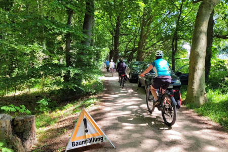 Baumfällungen im Küstenwald entlang des Kleinen Sommerwegs, Passanten werden um Vorsicht gebeten.//Foto: RikeM