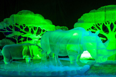 Die gefrorenen Nashörner der 17. Eiswelt gehören zu den Besuchermagneten