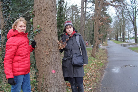 Billy Parczyk (l.) und Annette Boog vor einem zur Abholzung freigegebenen Baum in der Parkstraße. Beide Warnemünderinnen engagieren sich in der Bürgerinitiative zur Rettung der Bäume.