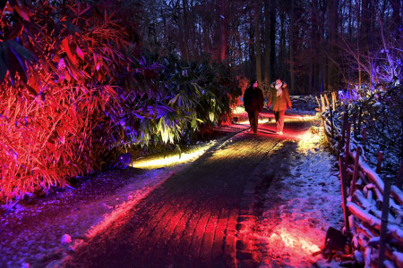 Noch bis zum 2. März verwandelt sich der neue Zooteil in eine funkelnde Winterwelt.//Foto: Zoo Rostock/ Kloock Noch bis zum 2. März verwandelt sich der neue Zooteil in eine funkelnde Winterwelt.//Foto: Zoo Rostock/ Kloock