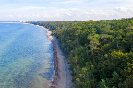 Wildcampen in Rostocks Küstenwäldern – hier die Stoltera – stand im Corona-Sommer 2020 hoch im Kurs.