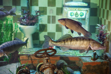 Karls Erlebnis-Aquarium ist als Wohnung des fiktiven aber liebenswerten Fischers Fiete aufgebaut, dessen geflutete Zimmer als Becken dienen.