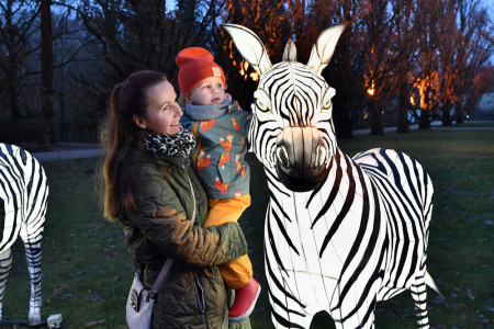 Die Rostockerin Mandy Franke mit ihrem Sohn Fritz (2) gehörte zu den ersten Besuchern der Zoolights, die ab dem 15. Dezember offiziell starten.