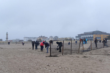 Die Initiative Rostock Müllfrei lädt am Sonntag zum gemeinsamen Müllsammeln am Strand von Warnemünde. Helfer sind willkommen.