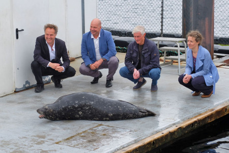 Umweltsenator Holger Matthäus, Chris Müller-von Wrycz Rekowski, Guido Denhardt und Frederike Hanke mit dem 18 Jahre alten Seehund Luca.