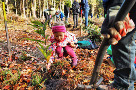Die sechsjährige Marlene aus Rostock (Foto) freut sich in diesem Jahr auf ihre vierte Baumpflanzaktion in der Rostocker Heide.    