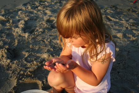 IOW-Experten unterstützen junge Strandbesucher bei der Erforschung ihrer Urlaubswelt.