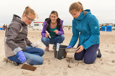 Praktischer Anschauugsunterricht: Bevor Mikroplastik im Labor untersucht werden kann, geht es am Strand unter IOW-Anleitung "auf Jagd" nach dem Umweltübel.