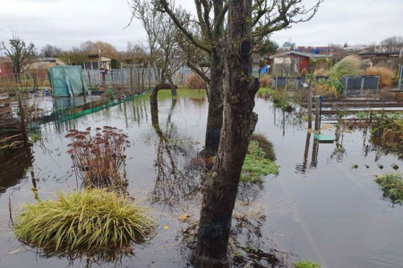 BU: Breitflächige Überschwemmung in der Kleingartenanlage Am Moor und im Sportstadion Parkstraße hätten verhindert werden können.//Foto: Umweltausschuss Warnemünde